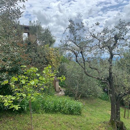 Podere Casallorto Volterra Bagian luar foto