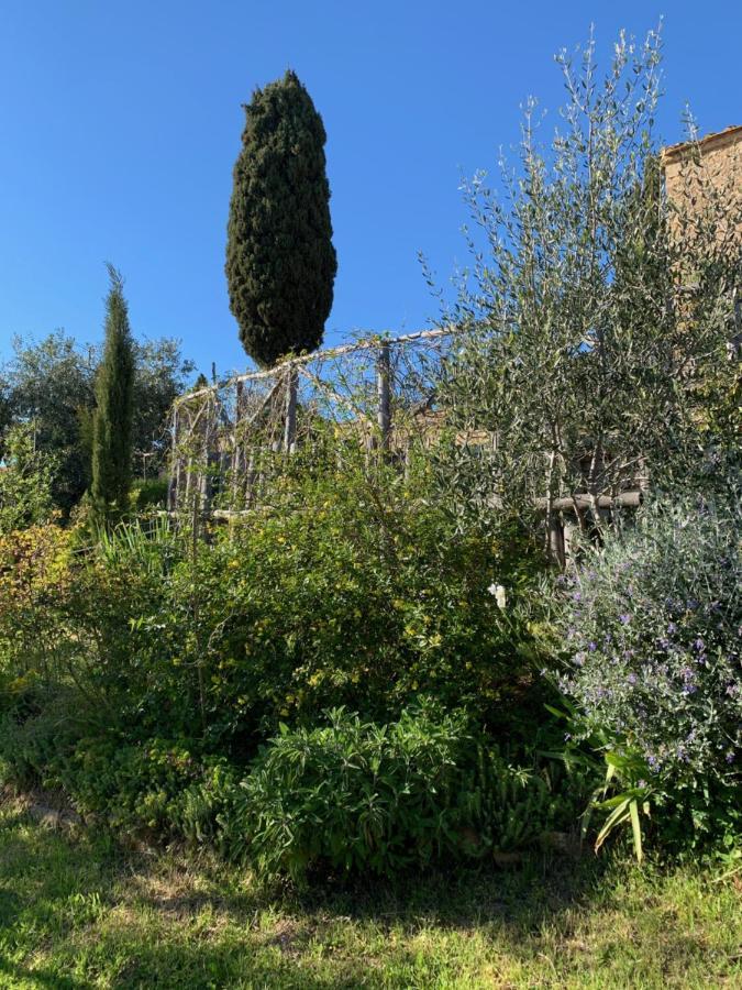 Podere Casallorto Volterra Bagian luar foto