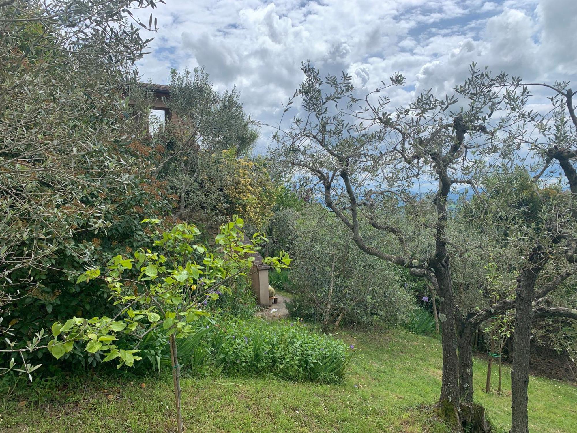 Podere Casallorto Volterra Bagian luar foto